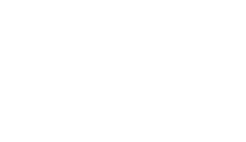 REINCAROCK
